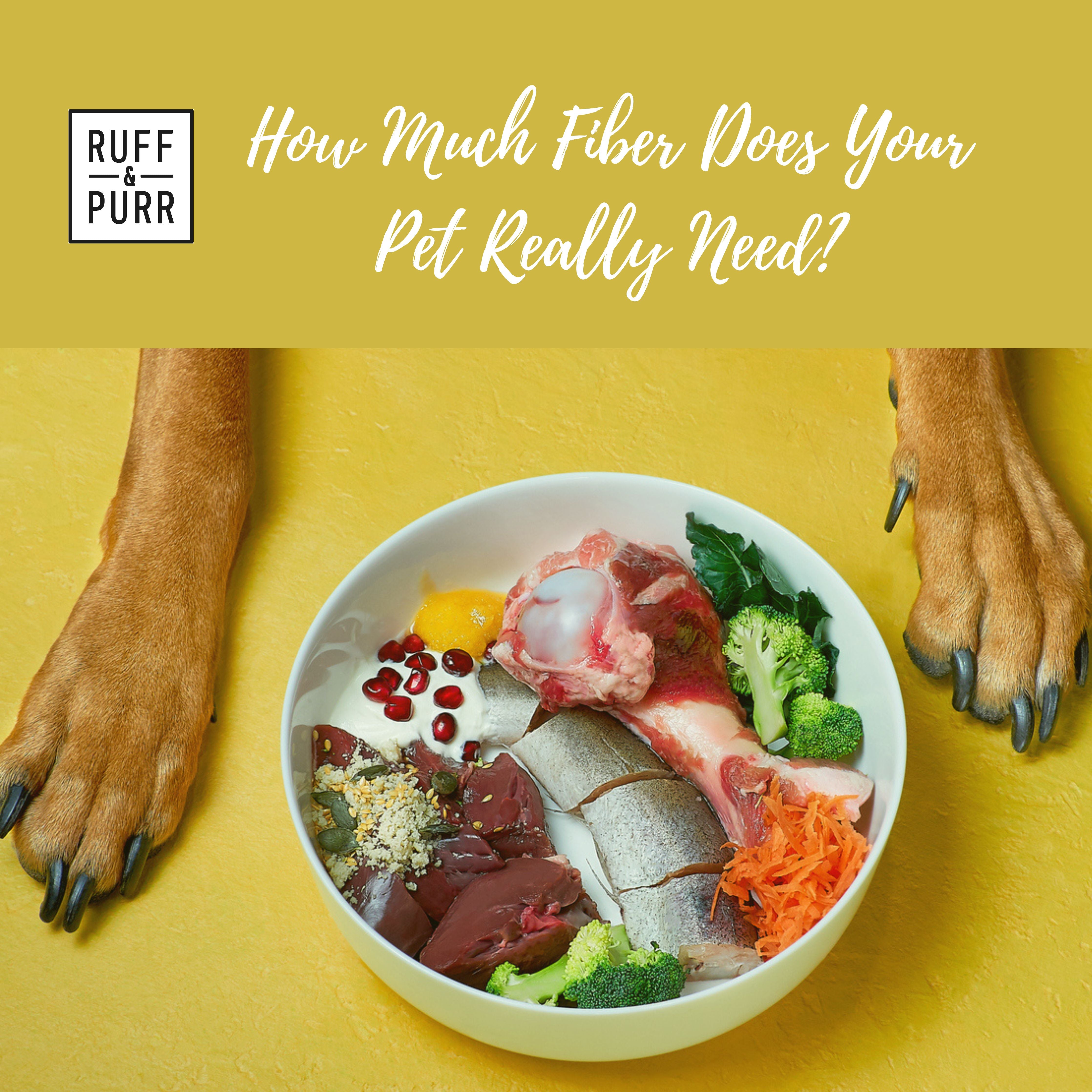 How Much Fiber Does Your Dog or Cat Need to Eat To Be Healthy Ruff Purr Pets