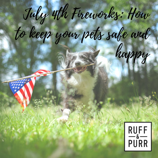 5 Facts All Pet Owners Should Know About the Fourth of July