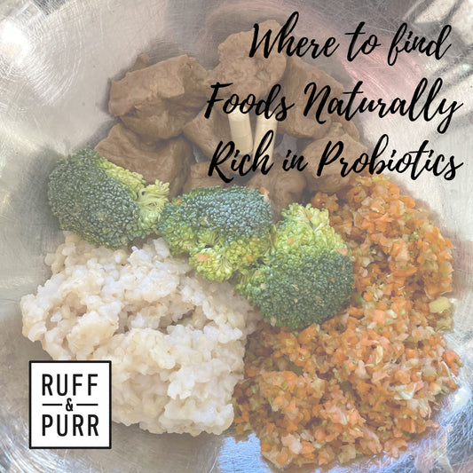 Which Foods Contain Probiotics?