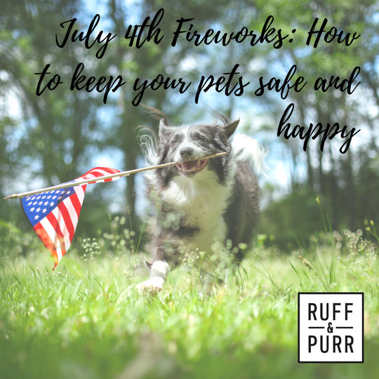5 Facts All Pet Owners Should Know About the Fourth of July