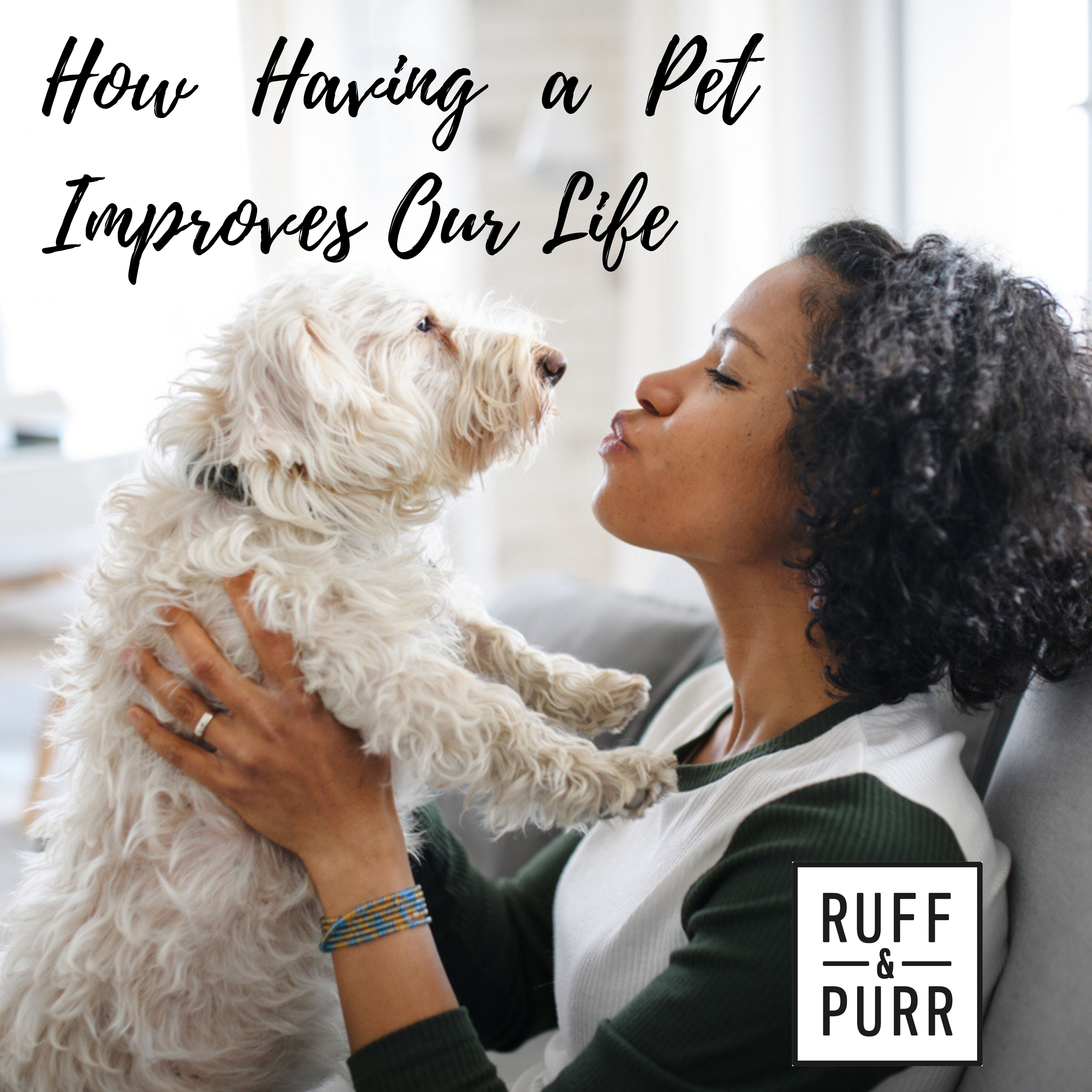 The Health Benefits of Having a Pet – Ruff & Purr Pets