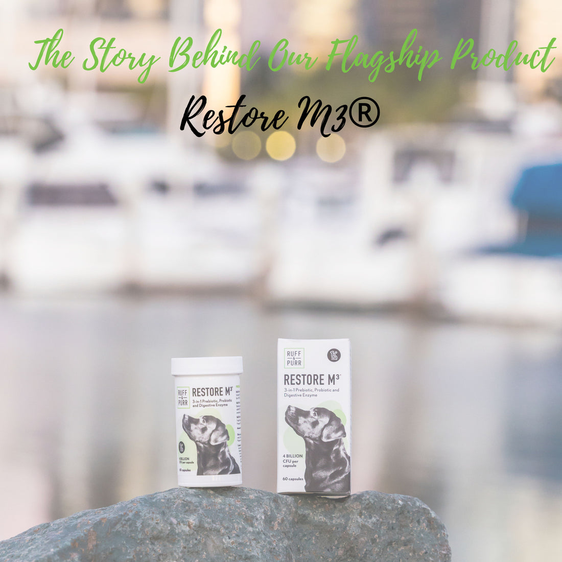 How did we get the name Restore M3® for Our Pet Probiotic??