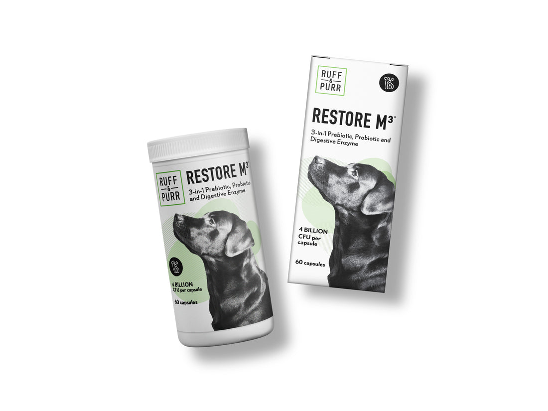 Single Bottle and Single Carton Side by Side of Ruff & Purr's Restore M3®